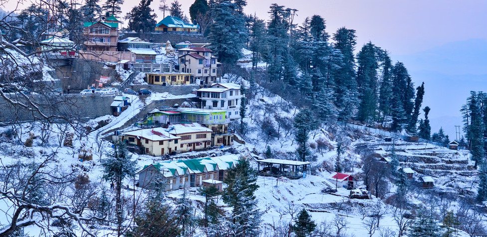 Shimla Kufri Tour Package